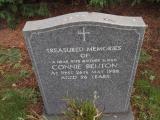 image of grave number 210304